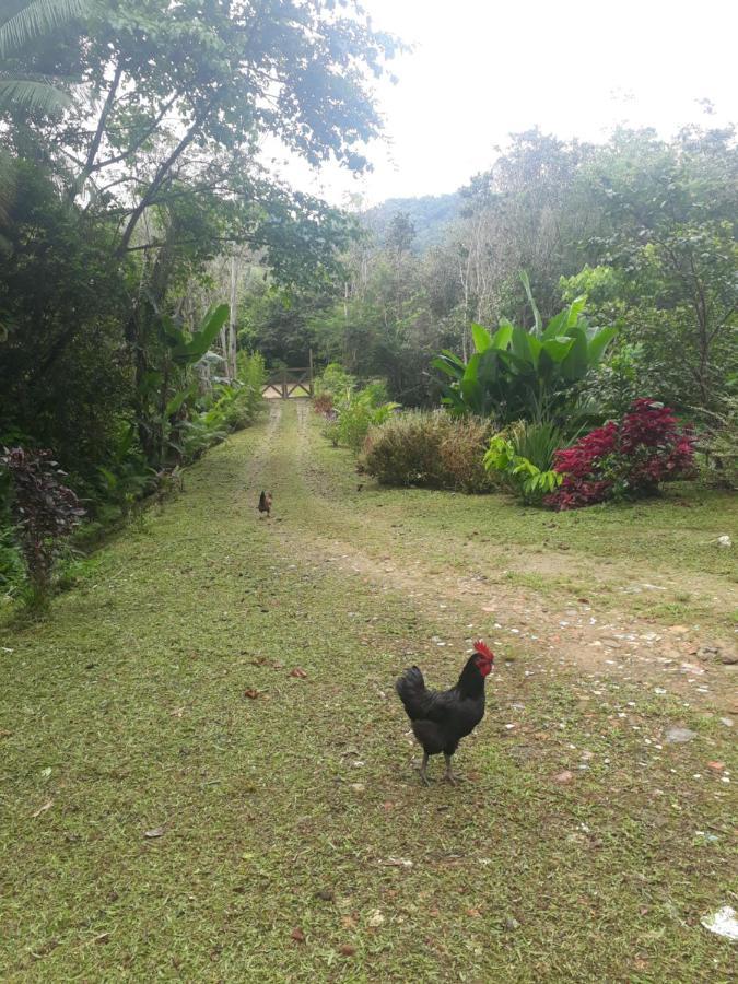 Recanto Dos Lobosco Villa Araquari Buitenkant foto