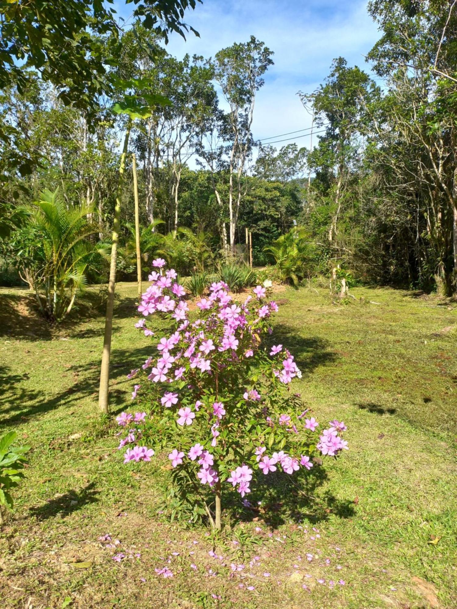 Recanto Dos Lobosco Villa Araquari Buitenkant foto