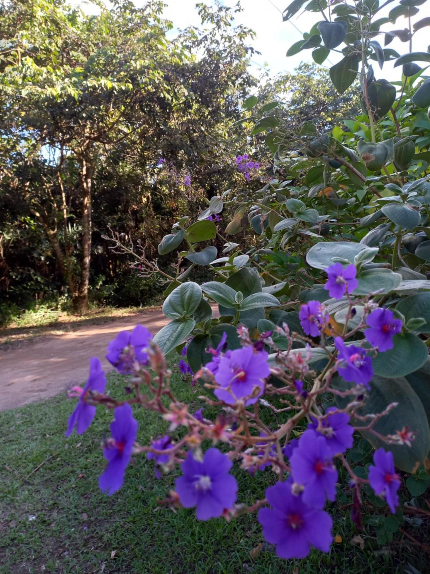 Recanto Dos Lobosco Villa Araquari Buitenkant foto