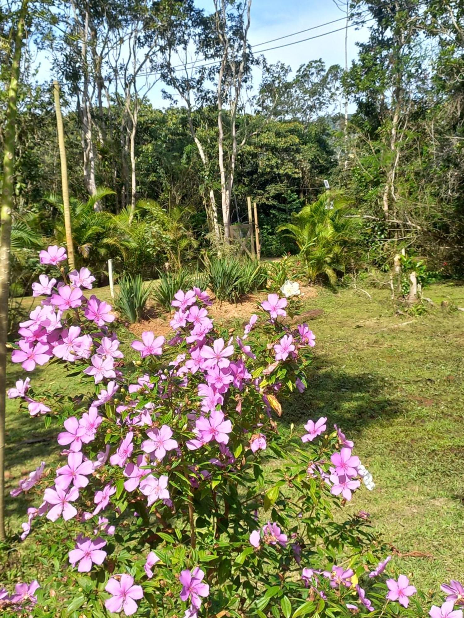 Recanto Dos Lobosco Villa Araquari Buitenkant foto